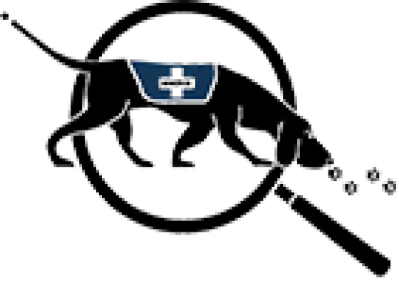 https://www.следопыт.онлайн